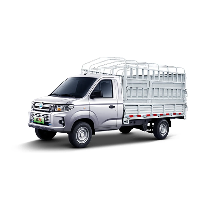 Ruichi EC71L Small Electric Utility Trucks